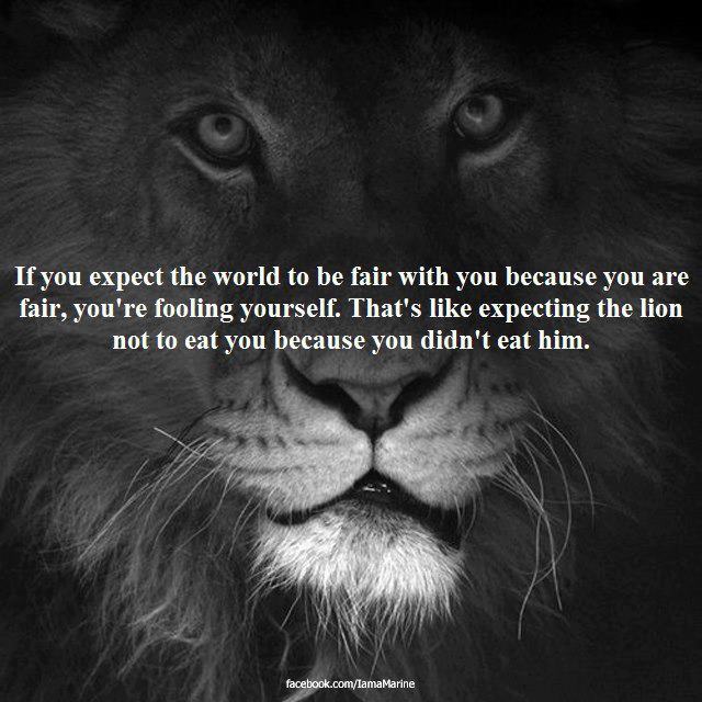 577630_434238636664022_810816964_n